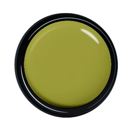 para gel Color Gel Natural Line Color S058 0.2 oz (4 g) Butter Nuts