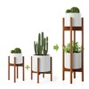 MUDEELA 2 Pack Indoor Plant Stands, 2 Tier Tall Plant