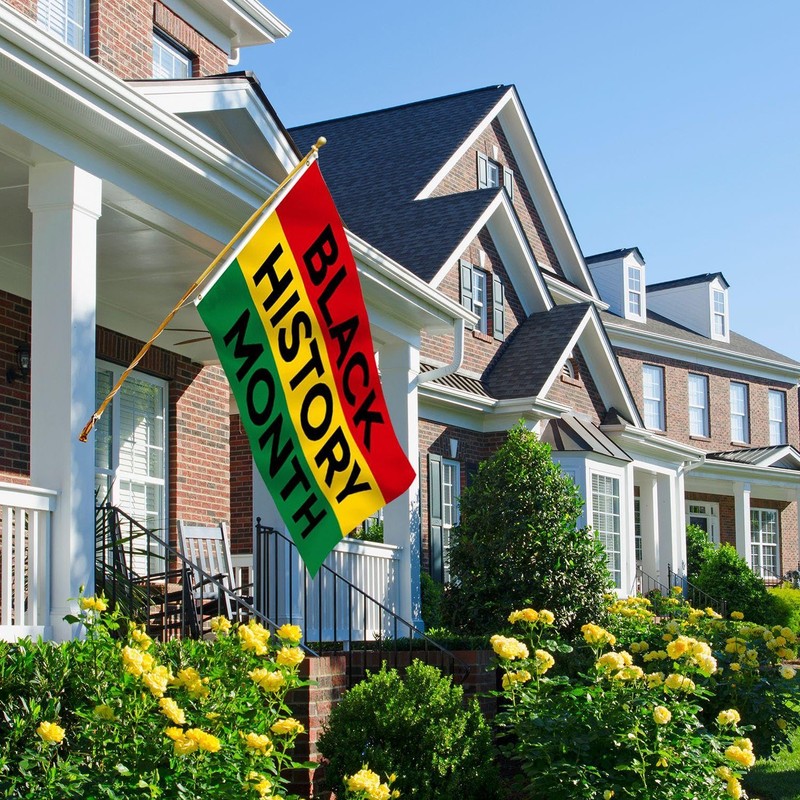1 Black History Month Flag And 1 Decorative Painting Polyester