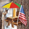 Squirrel Feeder with Umbrella Squirrel Table Feeder with Sturdy Squirrel