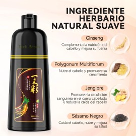 Kaisasa Shampoo Cubre Canas Tinte Instantaneo Jengibre Champu Chao Natural 500ml Marrón Oscuro