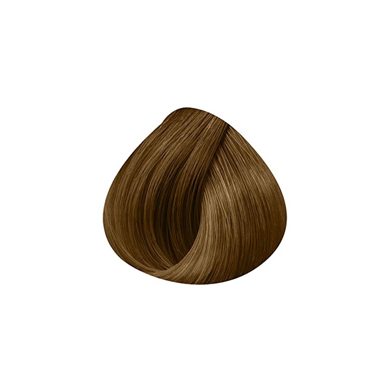 L'Oréal Professionnel Tone-on-tone hair colour 9.13: very light ash blonde