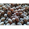 Root Beer Bulk Sanded Candy Drops - 2 lbs of