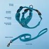 Best Pet Supplies Voyager Escape Proof Cat Harness and Leash