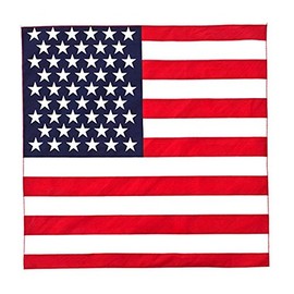 V5 American Flag Bandana 100% Cotton - 21 inches - Bulk Wholesale Packs 3 Designs (USA Flag, 60), 22x22