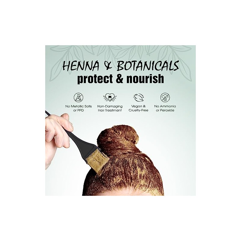 Light Mountain Natural Color The Gray! Hair Color & Conditioner,