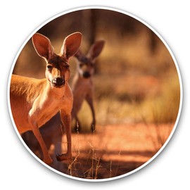 Vinyl Stickers (Set of 2) 7.5cm - Kangaroo Australia Wild Animal Cute #8528