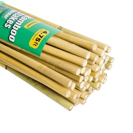 Jollybower 1/2" D 4.75 Feet Bamboo Stakes 50 Pack, Thicker Heavy-Duty Plant Stakes, Natural Garden Stakes for Bean, Tomato, Bean, Flowers,Trees Potted and Climbing Plant Support