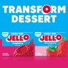 Jell-O Raspberry Sugar Free Gelatin, 0.6 Ounce (Pack of 24)