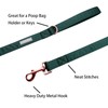 Lionet Paws Silk Dog Collar and Leash Set, Adjustable Comfortable