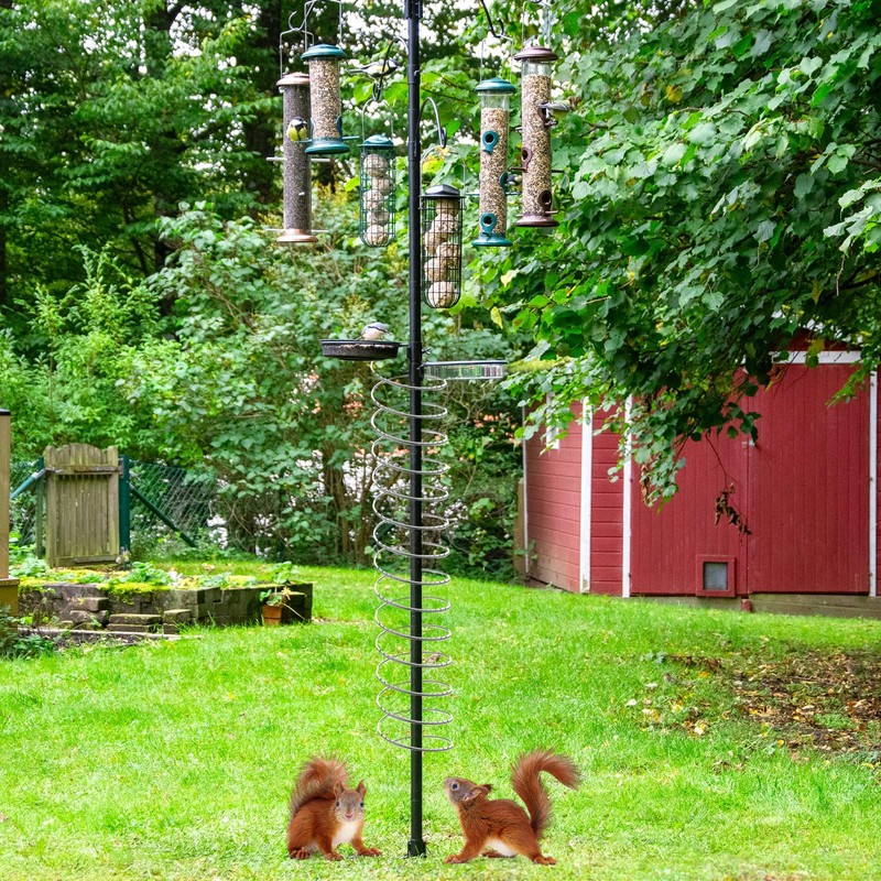Qualirey 6 Pcs Metal Squirrel Baffle Squirrel Proof Spring for
