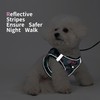 Jolifield Step in Dog Harness with Leash Set, Adjustable Soft