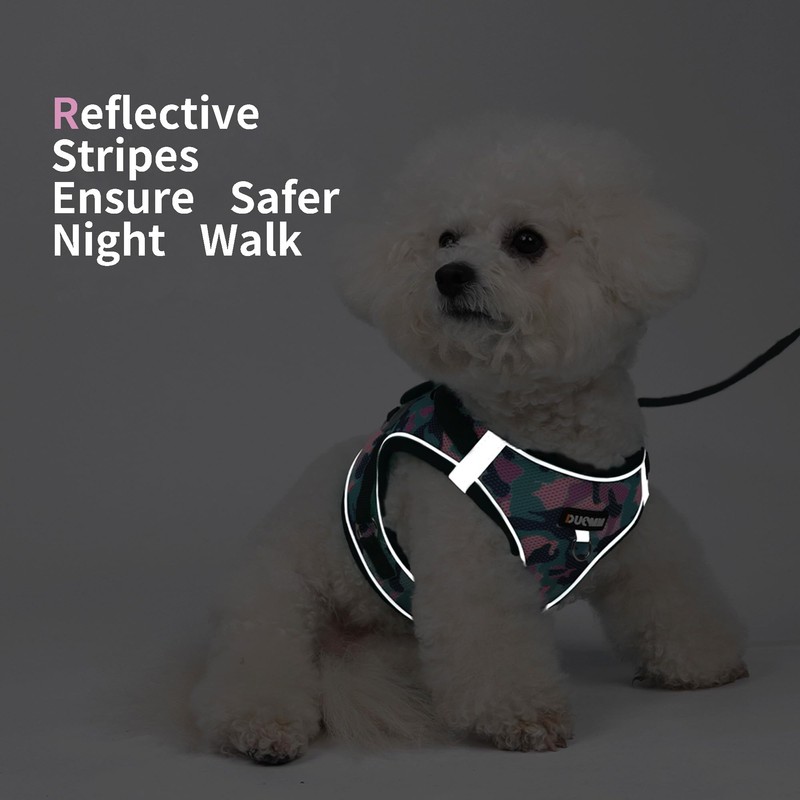 Jolifield Step in Dog Harness with Leash Set, Adjustable Soft