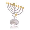 An Elegant Menorah with Star of David (Hanukkiah or Hanukkah