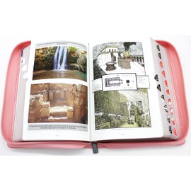 Biblia Reina Valera 1960 Letra Grande en Español de 14 puntos-Tamaño manual con Cierre, Indice, foro en semil piel color Rosado/ RVR 1960 Large Giant Print Bible in Spanish edition, pink with zipper