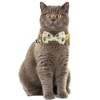 Cat Collar Breakaway with Cute Bow Tie and Bell Accessories