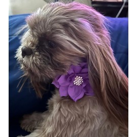 Haoyueer Cute Dazzling Sparkling Elegant Fancy Soft Suede Leather Bling Rhinestone Crystal Jeweled Pet Cat Dog Puppy Collar Dog Leash Combo Set (Purple7, L)