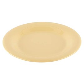 G.E.T. 10.5" Heavy-Duty Wide Rim Melamine Plastic Dinner Plate (Set of 12)