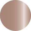 ageha Opticolor 7-03 2.7g Water Light Sienna