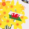 Welsh Language Tassel Embellished St David's Day Greeting Card, Saint