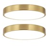 SOTTAE 2 Pack 9 Inch Brushed Gold Metal Flush Mount