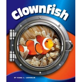 Clownfish (In the Deep Blue Sea)