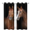 Wild Brown Horse Closed Together Ultra Soft Premier Blackout Curtain
