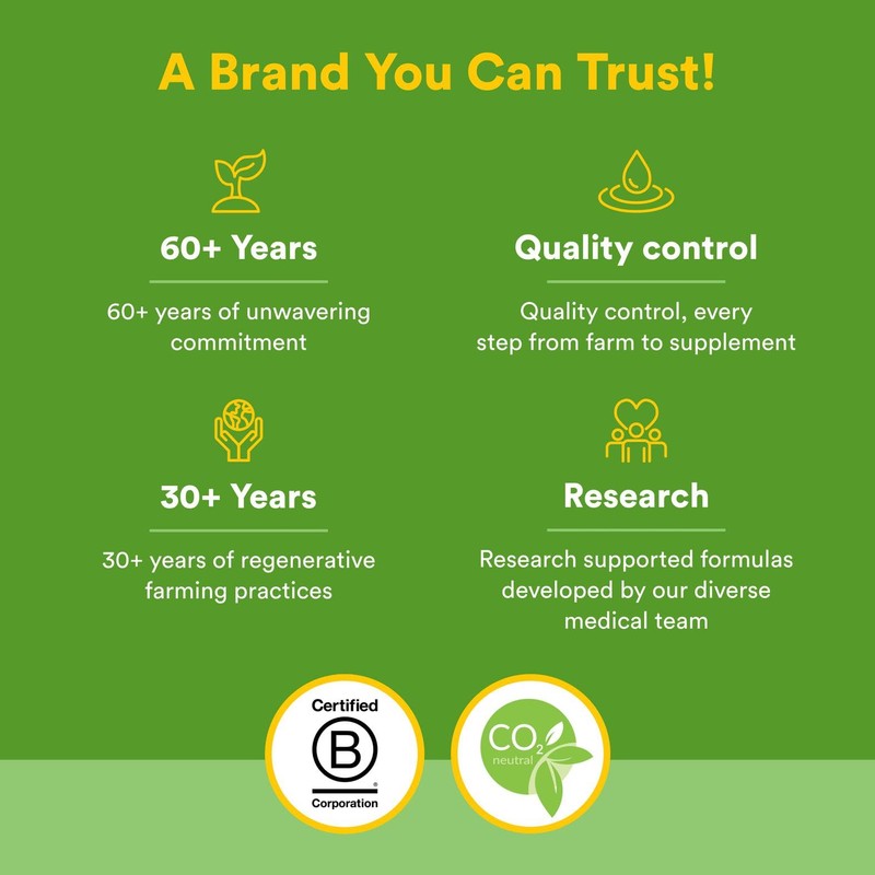 Natural Factors Chewable Ginger 500Mg, 90 CT