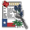 Texas Six-Piece State Magnet Set by Classic Magnets, Includes 6