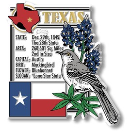 Texas Six-Piece State Magnet Set by Classic Magnets, Includes 6 Unique Designs, Collectible 3D Rubber Vintage-Style Souvenirs and Gifts Made in The USA