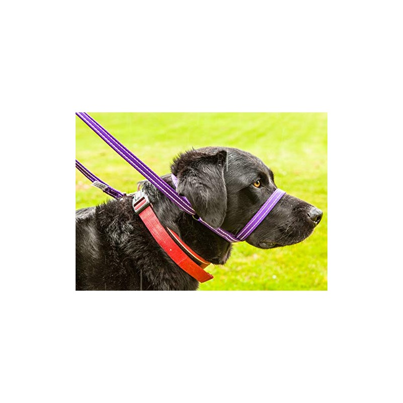 Gencon Clip To Collar Right Red/Black