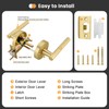 Goldenwarm 1 Pack Gold Door Handles Interior, Brushed Gold Privacy