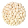 Bayside Candy Jelly Bean Collection All Flavors Jelly Beans (3LB,