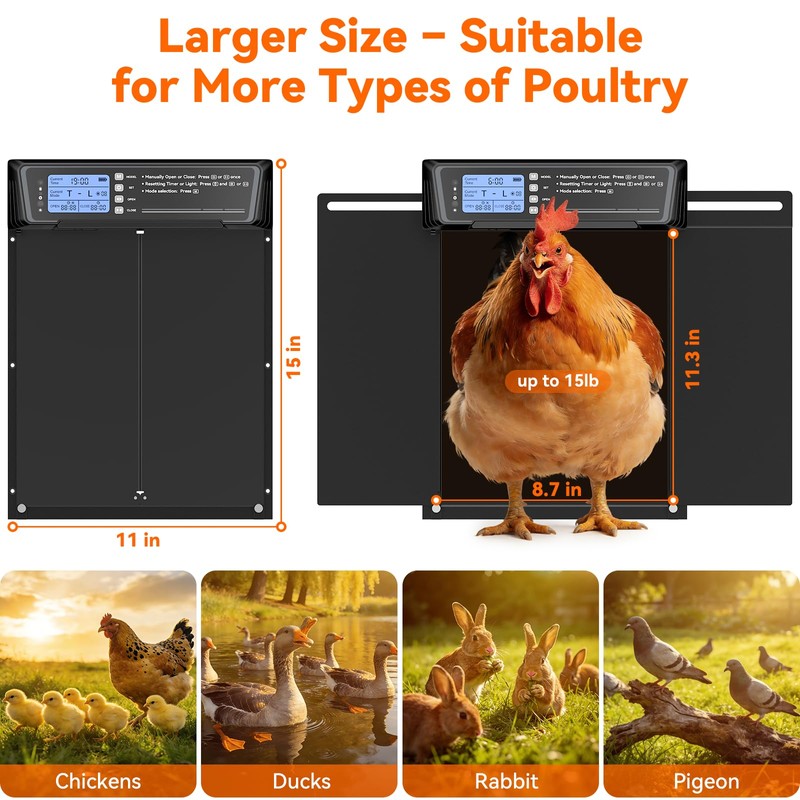 Automatic Chicken Coop Door Large Size, 7W Solar Powered with