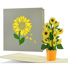 Geburtstagskarte mit Sonnenblumen z.B. für Frauen | Fröhliche Sonnenblumen Pop up Karte Geburtstag | Glückwunschkarte oder Gutschein zum Geburtstag, Muttertag, F21