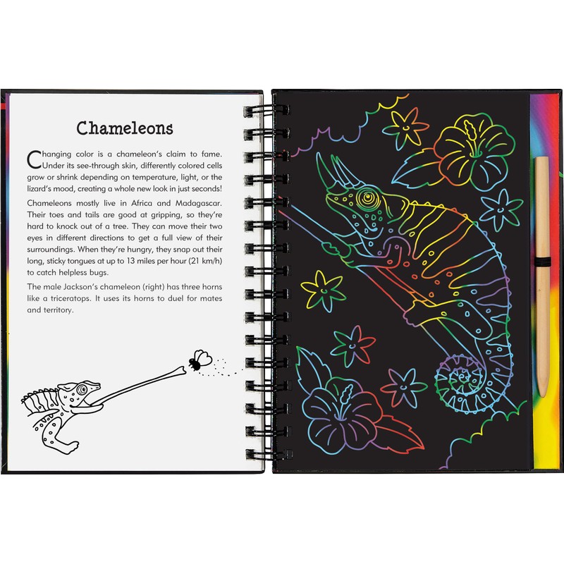 Scratch & Sketch Reptiles & Amphibians