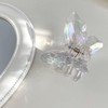 2Pcs Clear Butterfly Hair Claw Clips, Medium Acrylic Hair Clips