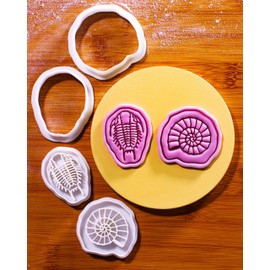 BAKERLOGY Echoes of the Sea - Mini 2" Cookie Cutter & Stamp Set - Ammonite & Trilobite Design for Dinosaur Fossil Cookies, Cupcakes & Fondant Decorations