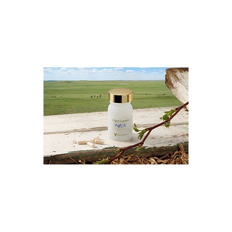 ハイパーラクタム ＮＥＸ ネックス ６０カプセル ※現代人の食生活に合わせた乳酸菌サプリメントです！ [ヘルスケア&ケア用品]