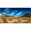 MIRRORANG 120x46cm Reptile Habitat Background Blue Sky Oasis Cactus Desert