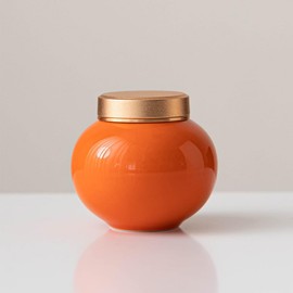 Pet Urn Mini Urn Keepsake Urn Mini for Human Ashes Feel Close to You Amulet Protection Good Luck Protection Family Dog Cat Pet (Blue)