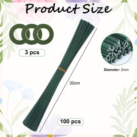 Pack of 100 Flower Wire Green with Florist Ribbon, 2 mm Flower Trunk Wire, Flexible Florist Wire 30 cm for DIY Flower Wire for Crafts, Robust Plug-In Wire Floristry for Flower Arrangements & Crafts