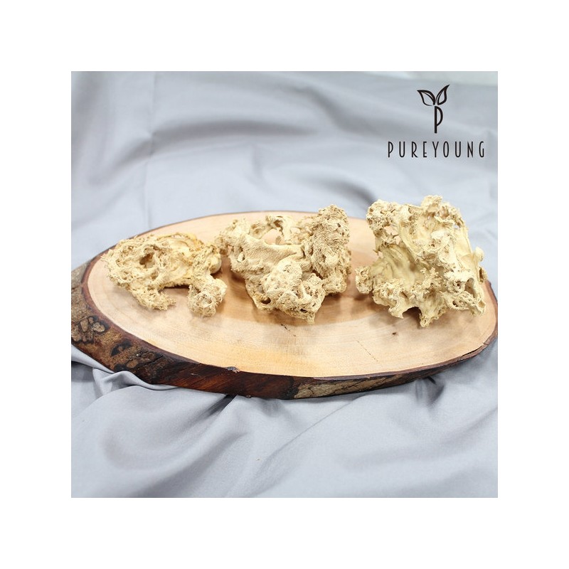 Flower Mushrooms 100g Snowflake Domestic / 꽃송이버섯 100g 눈꽃송이 국내산