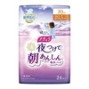 Daio Paper Natura Night Wear Morning Safety Absorbent Pad 1.1