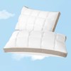 YOUR MOON Soft Pillow Queen Size Set of 2, Super