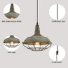 DANSEER Farmhouse Plug in Pendant Light with 16 Feet Hanging