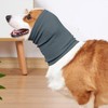 DDFS Quiet Ears Noise Cancelling Dog Head Wrap for Ear