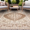 Water & Fade Resistant 4x6 Indoor Outdoor Rug for Patio,