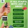 Unbranded Organic Moringa Liquid Drops for Energy,Metabol