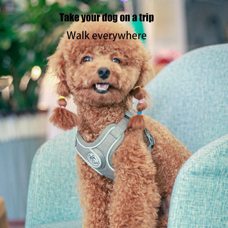 SKXEO Small Dog No Pull Harness & Lead Set -